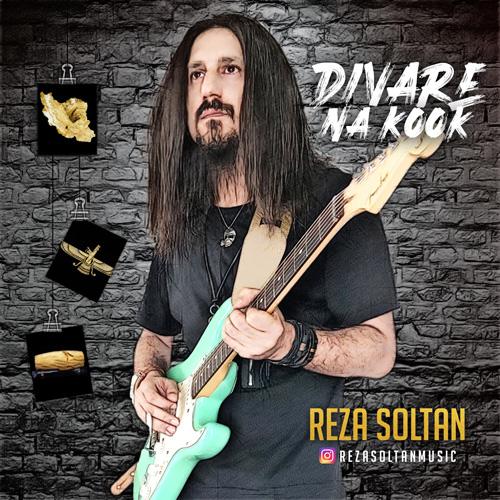 رضا سلطان دیوار ناکوک